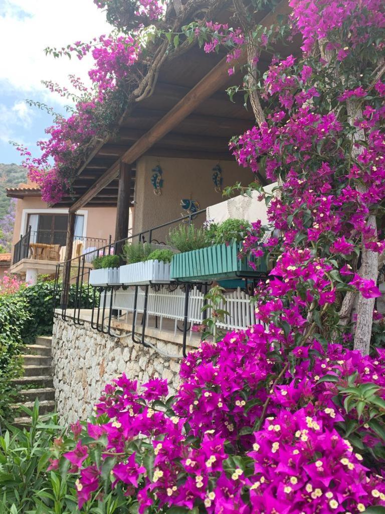Sea View Bougainvillea 52 Kalkan Esterno foto